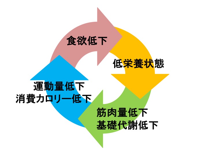 フレイルの負のサイクル